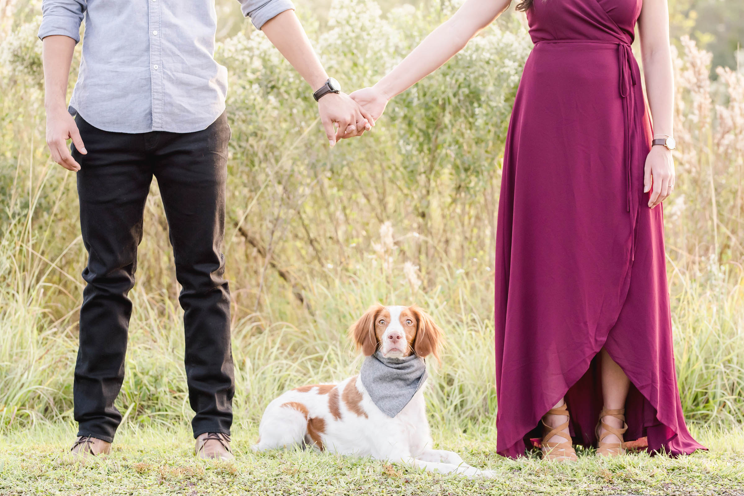 couple holding hands with dog